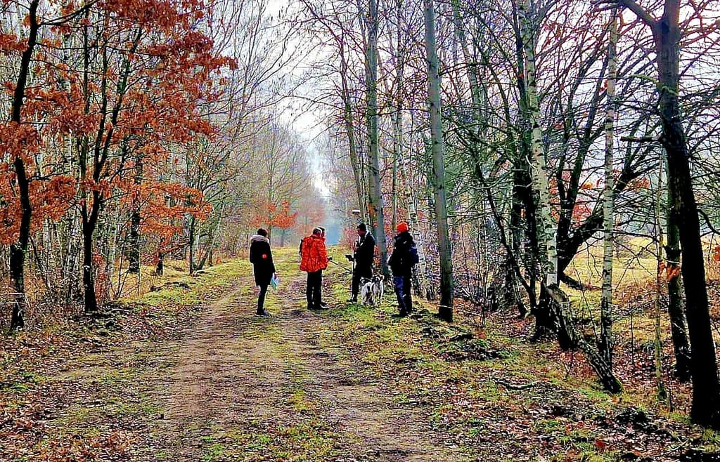 Ein knapp sieben Kilometer langer Weg zwischen Breitenbach (Gemeinde Wetterzeube) und Nickelsdorf (Gemeinde Crossen) wird bald freigegeben.