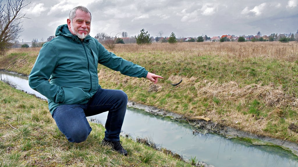 Mathias Briest, Bewohner der Allerstadt und Mitglied im Ortschaftsrat Oebisfelde, zeigt auf den stinkenden schmutzigen Papengraben.