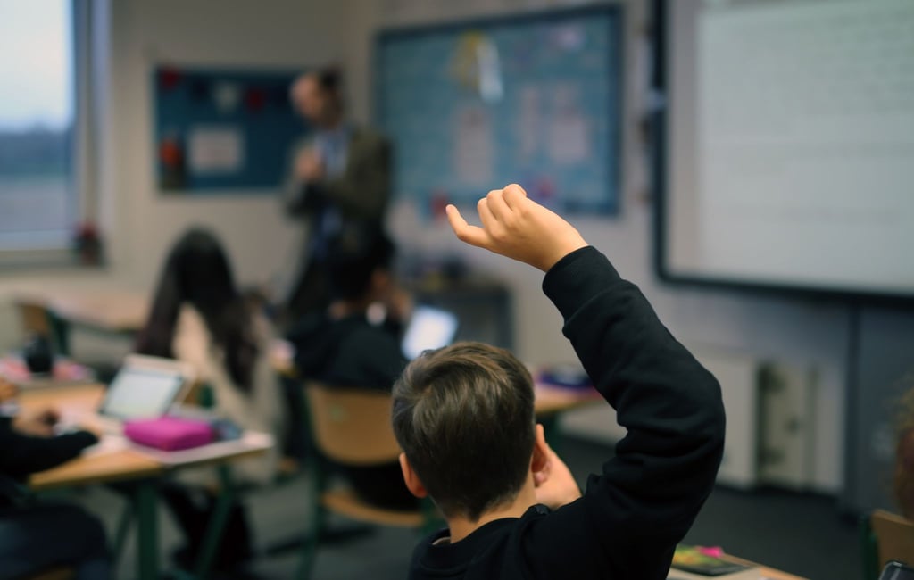 Eine Schüler hebt im Unterricht seine Hand hoch.