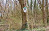 Im Landschaftsschutzgebiet Osterberg bei Bottmersdorf haben Mitarbeiter der Stadt Wanzleben-Börde Bäume gefällt.