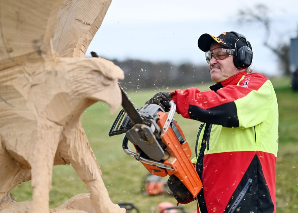 Der Kettensägen-Holzschnittkünstler Dieter Binder arbeitet an einer Skulptur in Form eines Adlers.