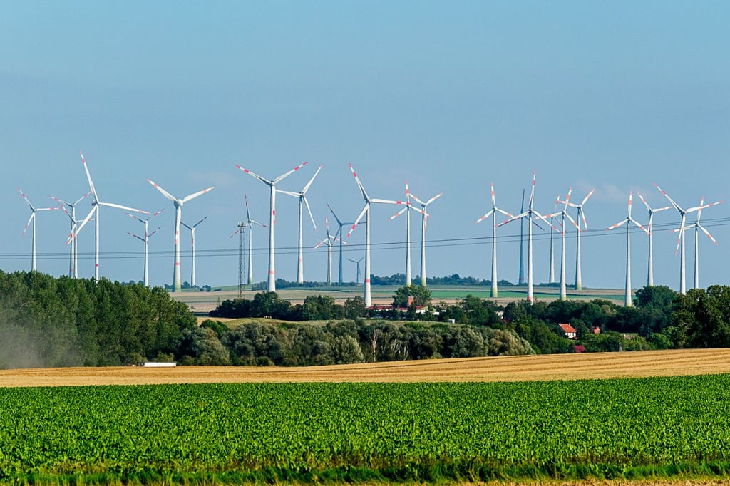 Vorbild für Bürgerenergie: Der Windpark Druiberg bei Dardesheim im Harz.