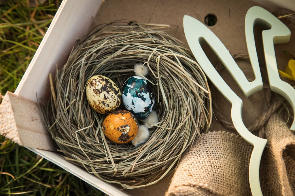 Keine Zeit zu basteln? Einfach ein wenig Heu aus dem Tierbedarf zum Nest drapieren.