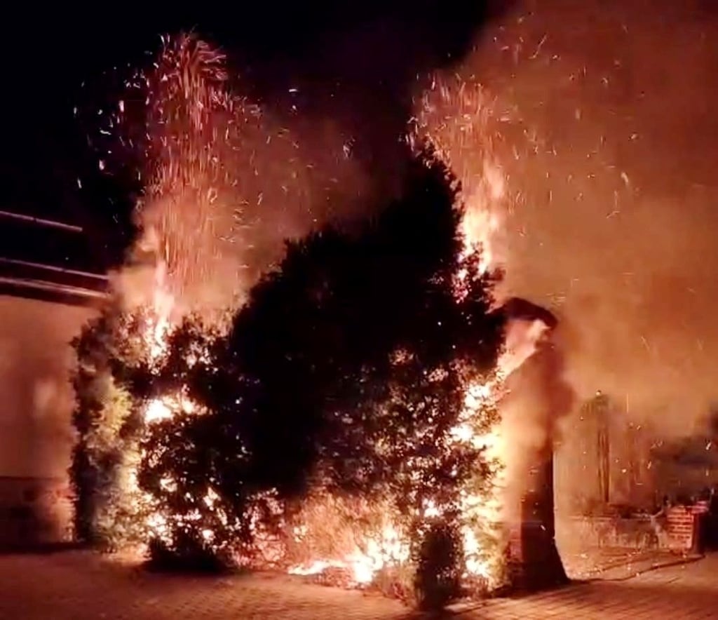 Aus unbekannten Gründen geriet in Dölau eine Hecke in Brand. Die Feuerwehr konnte Schlimmeres verhindern.