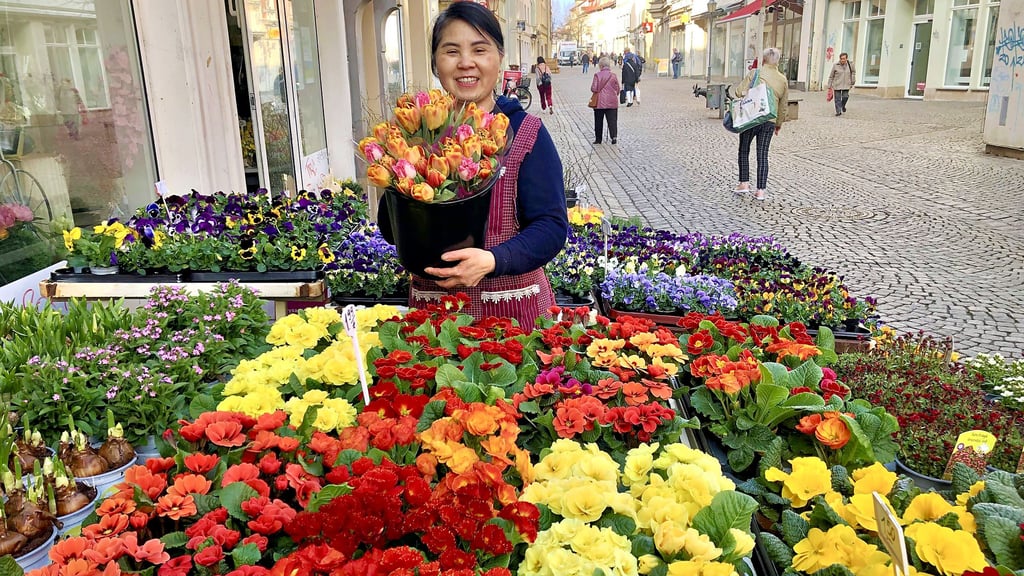 Frühling pur herrscht im Zeitzer Blumenlädchen in der Wendischen Straße mitten in der Innenstadt. Vu Van Thanh bietet viele Pflanzen an.