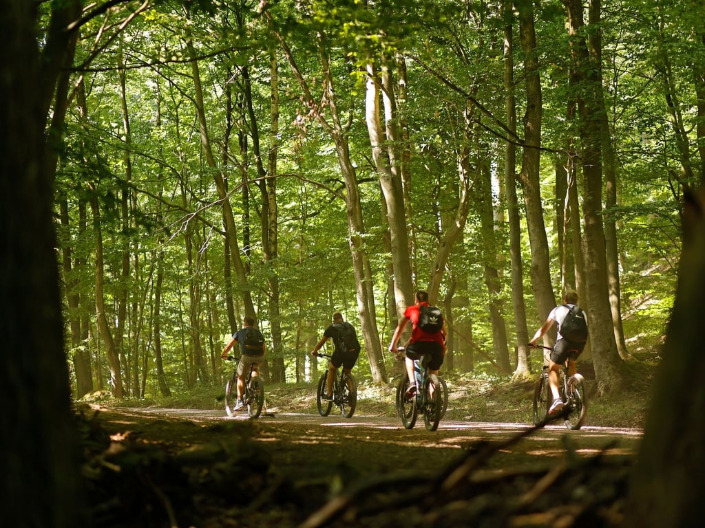 Radfahrer sind im Ilsetal unterwegs.