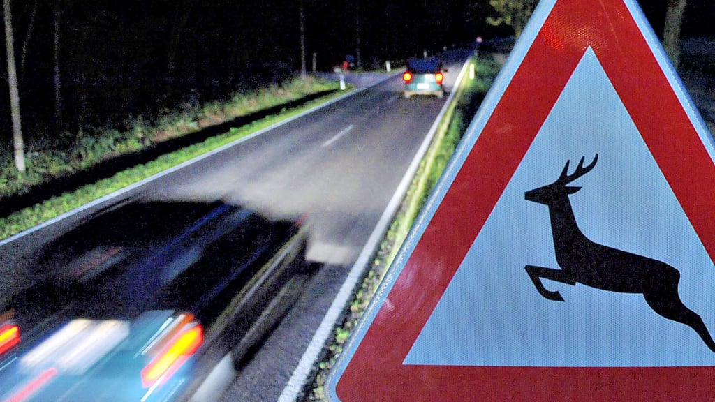 Achtung Wildwechsel: Nach der Zeitumstellung auf Sommerzeit ist für Autofahrer wieder Vorsicht geboten.