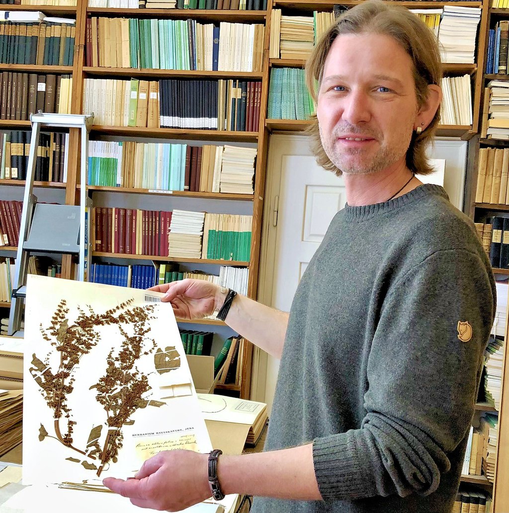 Der ehemalige Osterfelder Jörn Hentschel ist Kurator des Haussknecht-Herbariums der Friedrich-Schiller-Universität in Jena und forscht unter anderem zu seltenen Moosen und Pflanzen von Feucht- und Sumpfgebieten.