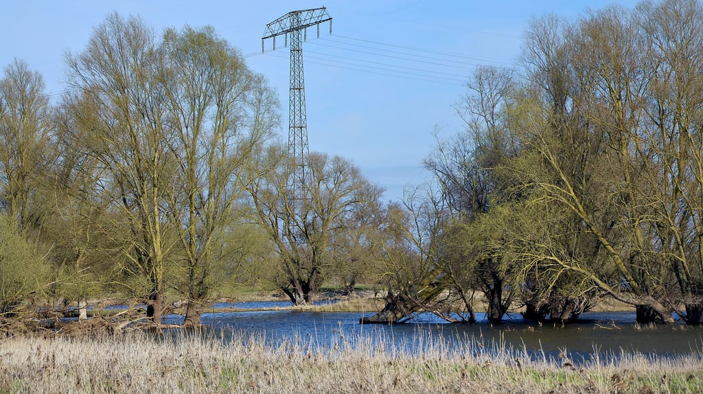 Blick auf die bestehende 220-kV-Leitung in Losenrade direkt an der Elbe, ganz im Norden des Landkreises Stendal. Netzbetreiber 50Hertz will sie durch eine 380er-Leitung ersetzen und die Bahn daneben noch eine ganz neue 110-kV-Bahnstromleitung bauen.