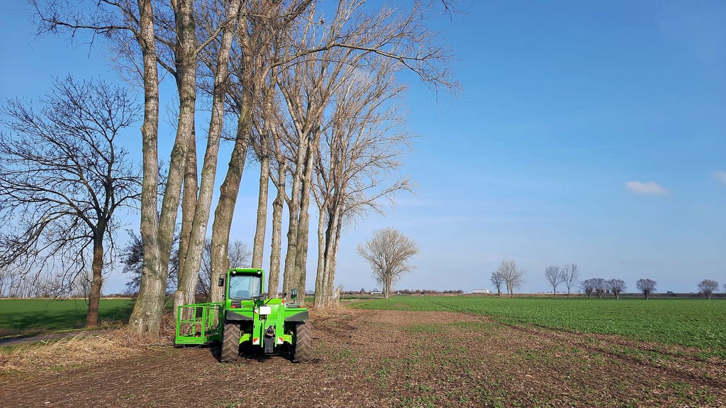 Die herabgestürzten Äste der Pappeln bei Kleingörschen fährt der Landwirt selbst zusammen. Die Bäume seien nicht nur morsch und deshalb gefährlich. Laut dem Landwirt sorgen sie aufgrund ihres Schattens und der Aufnahme von Wasser und Nährstoffen auch dafür, dass auf einem relativ breiten Feldstreifen kaum Getreide wächst, was man auch optisch sehr gut erkennen könne.