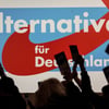 Eine Studie besagt, dass es in Sachsen-Anhalt mehr als ein Dutzend Beispiele von kommunaler Zusammenarbeit zwischen der AfD und etablierten Parteien gab.