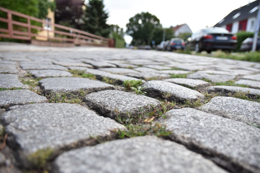Blick auf die Fahrbahn der Seestraße. Diese ist mit Granit-Großpflaster belegt.