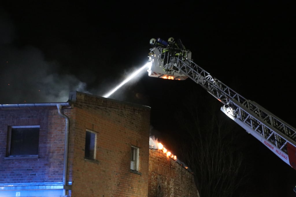 Von einer Drehleiter aus wurden die Flammen bekämpft.