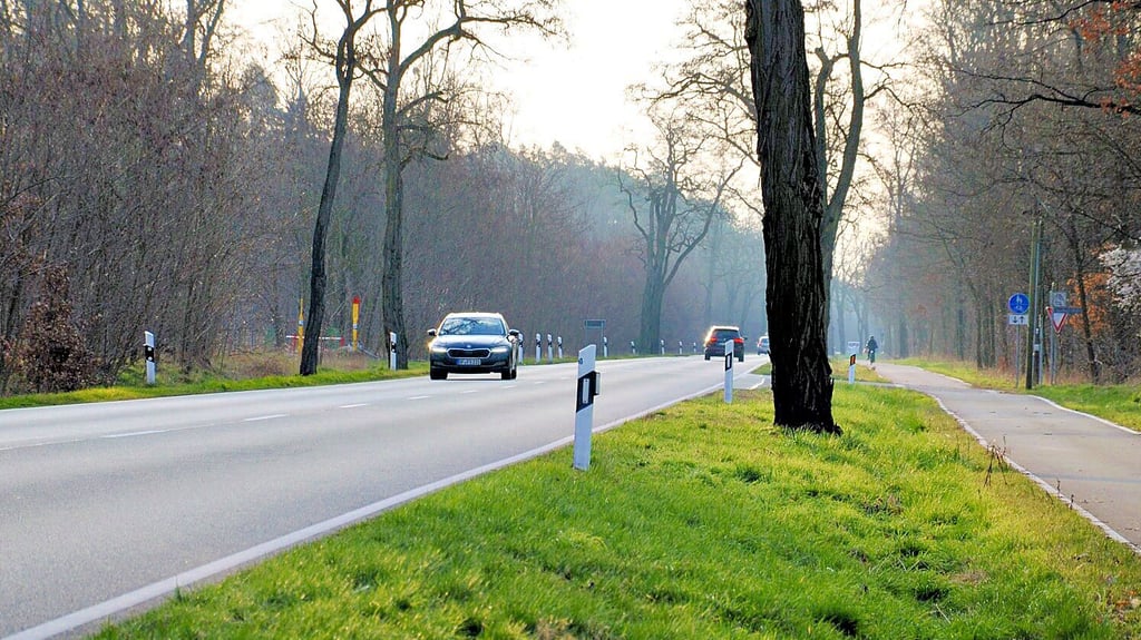 Zwischen Jütrichau und Tornau soll die B 184 saniert und neben dem Radweg Leitplanken gesetzt werden.
