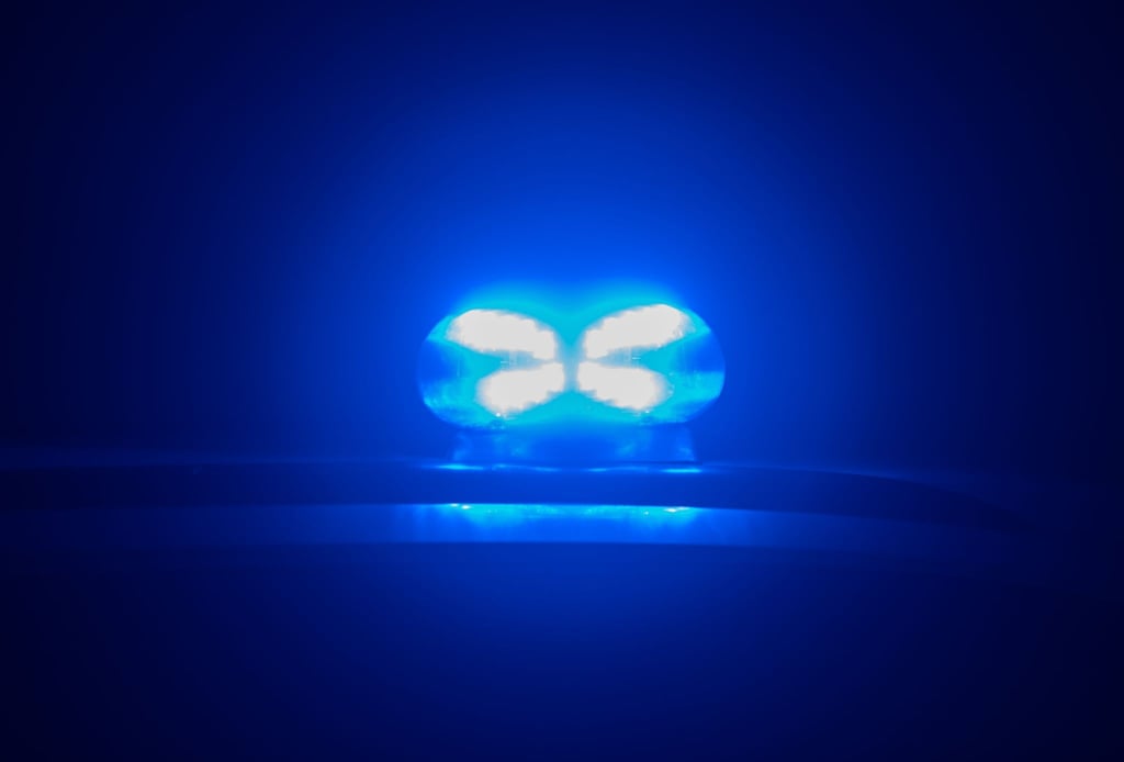 Blaulicht leuchtet auf dem Dach eines Polizeiautos.