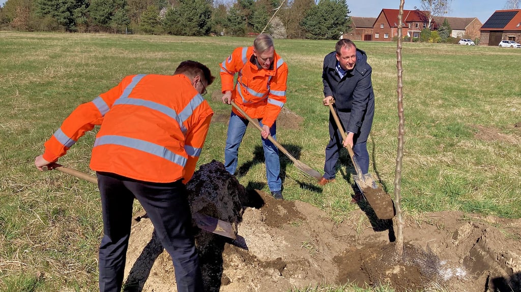 Mehr als 100 Bäume pflanzt eine Firma im Oranienbaumer Ortsteil Brandhorst. Mit der Aktion setzt die Landesstraßenbaubehörde (LSBB) ein mehrjähriges Projekt zur Nachpflanzung von 2.850 Bäumen in Sachsen-Anhalt fort. Vor Ort waren neben anderen der Oranienbaum-Wörlitzer Bürgermeister Maik Strömer (r.), Staatssekretär Sven Haller (l.) und Hans-Heinrich Röhrs von der LSBB, die fürs Pressefoto zu den Schaufeln griffen.