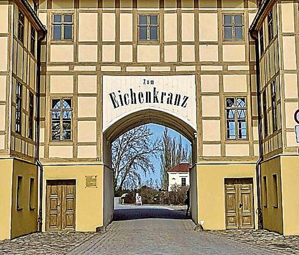 Der historische Eichenkranz in Wörlitz.