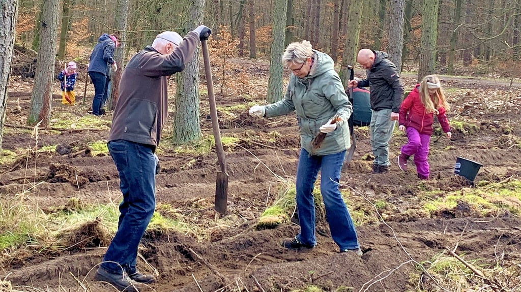 Auch dieses Jahr gibt es etliche Helfer, die dem Verein und dem Forstbetrieb im Wald bei Göritz unter die Arme greifen.
