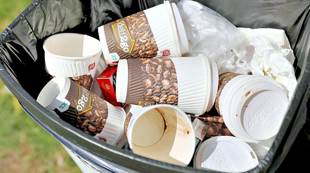 Einweg-Trinkbecher wie diese  könnten in Wernigerode künftig besteuert werden. In Tübingen wird die Verpackungssteuer bereits kassiert.