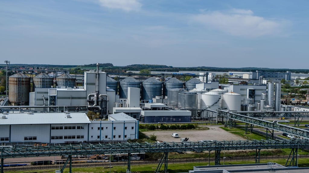 Das Werksgelände von SKW Piesteritz in Wittenberg. Nach der Energie-Krise laufen jetzt wieder beide Anlagen.