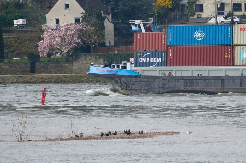 Der „Jungfrauengrund“ bei Oberwesel: Auch bei Normalwasserstand ragen Steine aus dem Rhein hervor. Der Abschnitt dient der Planung einer durchgehend tieferen Fahrrinne.
