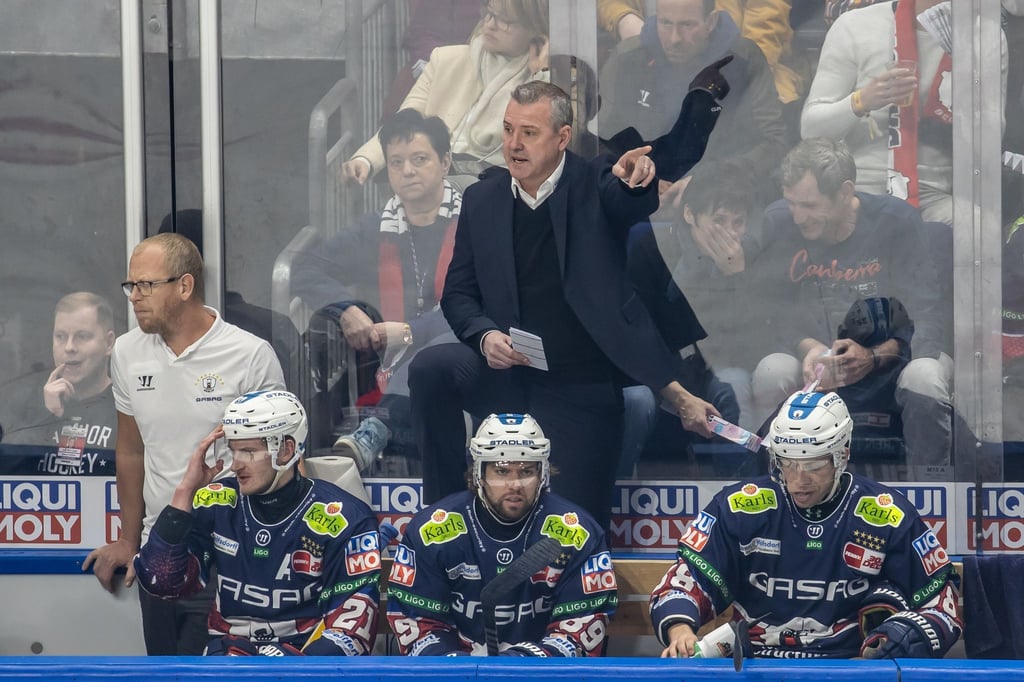 Eisbären-Cheftrainer Serge Aubin.