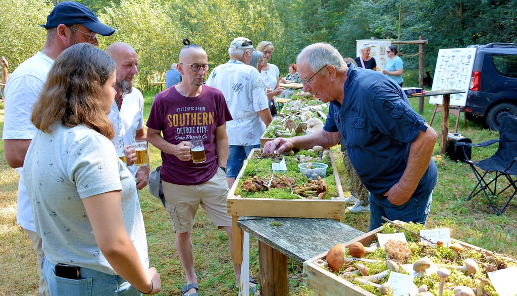 Gerhard Schnüber (rechts) ist beim Klötzer Waldtag auch immer mit einem Stand vertreten und erläutert den Besuchern und Interessenten die verschiedenen Pilzarten. Um die 100 verschiedene Sorten gehören zu seinem Bestand.