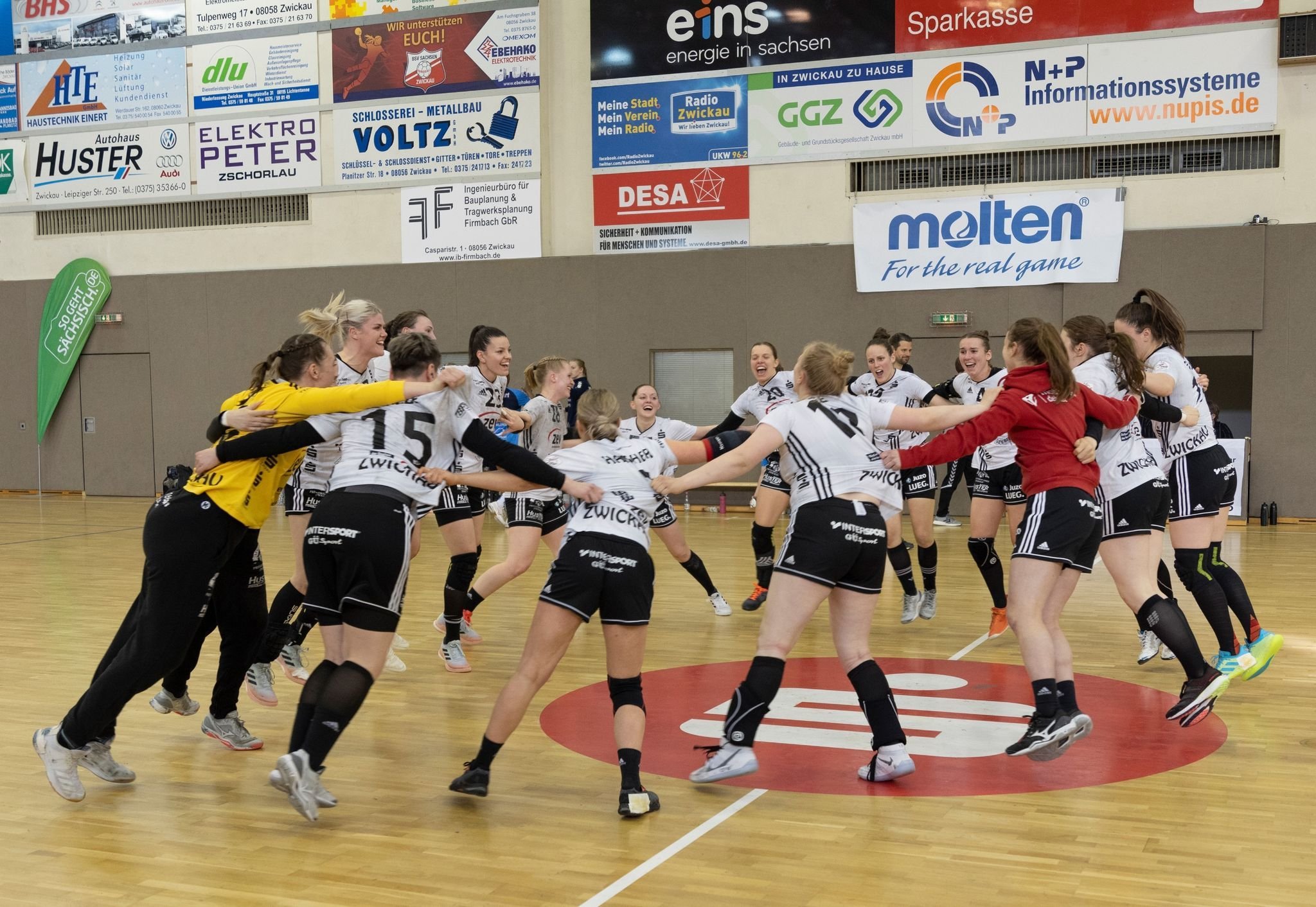 Handball-Bundesliga: Zwickau Holt Zwei Wichtige Punkte Im Kampf Um ...