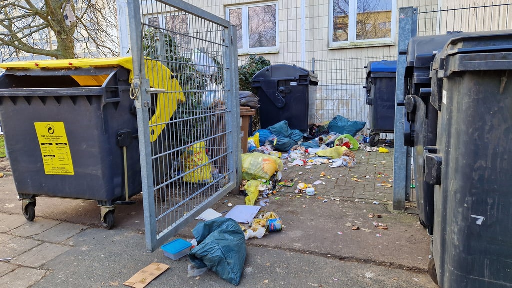 Lage im Wippraer Weg in Halle-Neustadt: Hier fühlen sich die Ratten besonders wohl.
