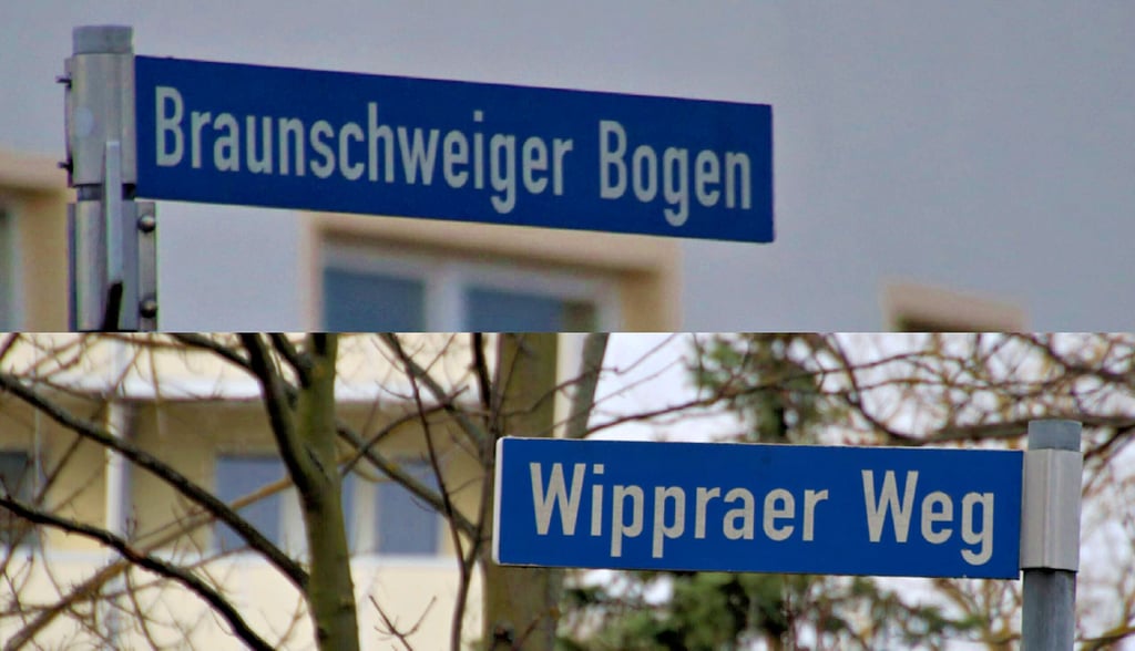 Zwei Straßen, ein Problem: Familien aus Osteuropa sorgen in Neustadt für Unmut bei der Bevölkerung.