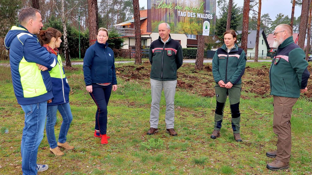 Am Wäldchen in Güsen gab es einen Vor-Ort-Termin mit den Revierförstern Steffen Lieder und Andrea Booke, Forstamtsleiter Axel Ott, Gemeindebürgermeisterin Nicole Golz sowie Annett Lucke und Michael Rindert (v. re.) von der Gemeindeverwaltung.