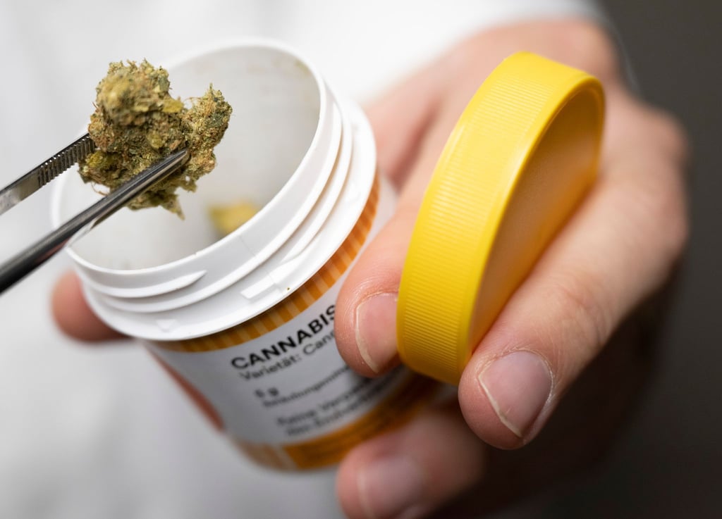 Cannabisblüten zur medizinischen Behandlung.