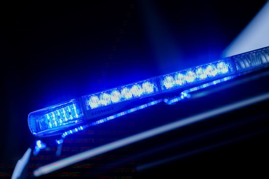 Die Magdeburger Polizei sucht mit Fotos nach drei Dieben.