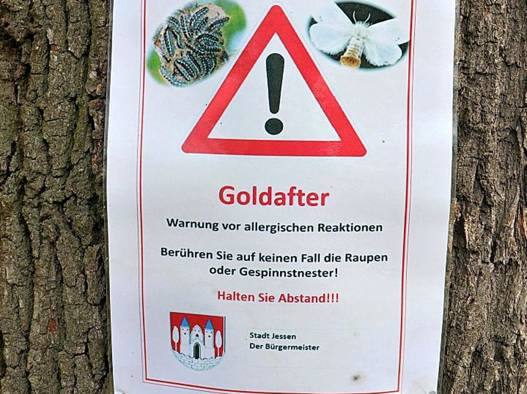 Hier wird am Ortsrand von Rade vor den Gefahren durch die Raupen gewarnt.