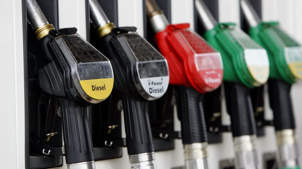 Die Polizei fahndet nach einem Mann, der in Mansfeld-Südharz mindestens sieben Mal Diesel getankt haben soll, ohne zu bezahlen