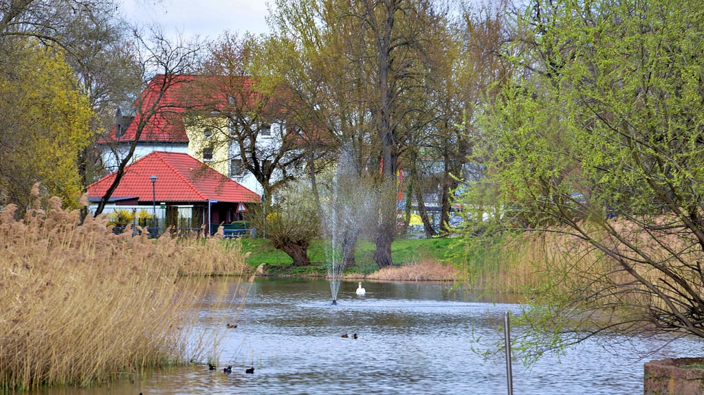 Ein erfrischender Moment: Die Fontäne im Großen Teich im Zentrum von Bitterfeld erwacht zu neuem Leben.