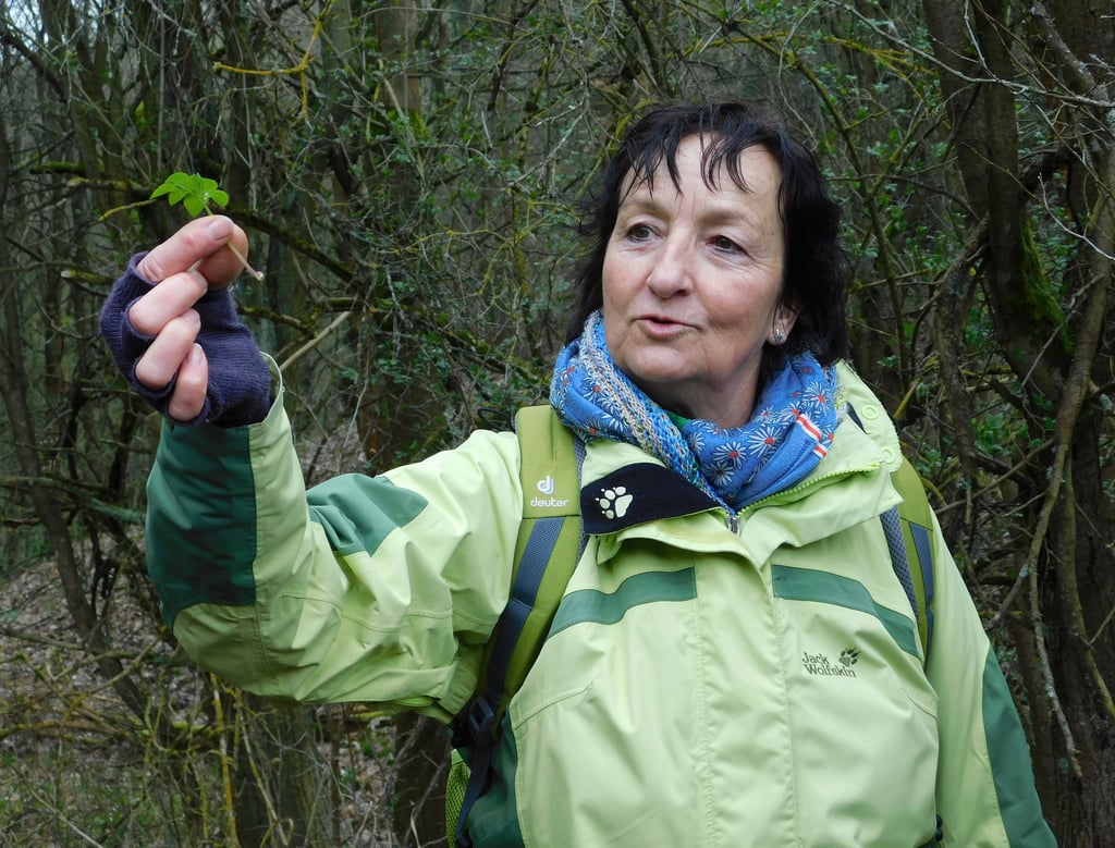 Anne Laube bei der Kräuterwanderung am Roten Kopf bei Agnesdorf.
