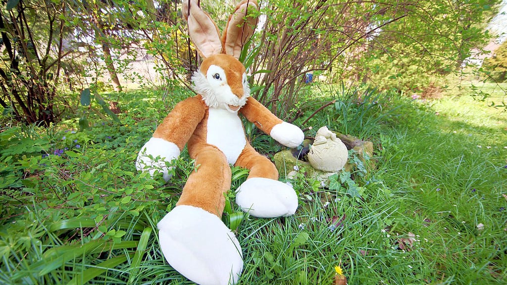 Der Osterhase hat es auch in diesem Jahr nicht leicht, alles an den Mann, an die Frau oder an die Kinder zu bringen.