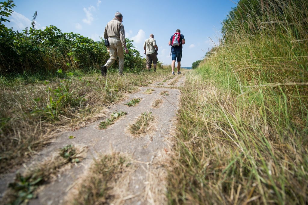 Wanderer laufen am ehemaligen innerdeutschen Grenzstreifen entlang.