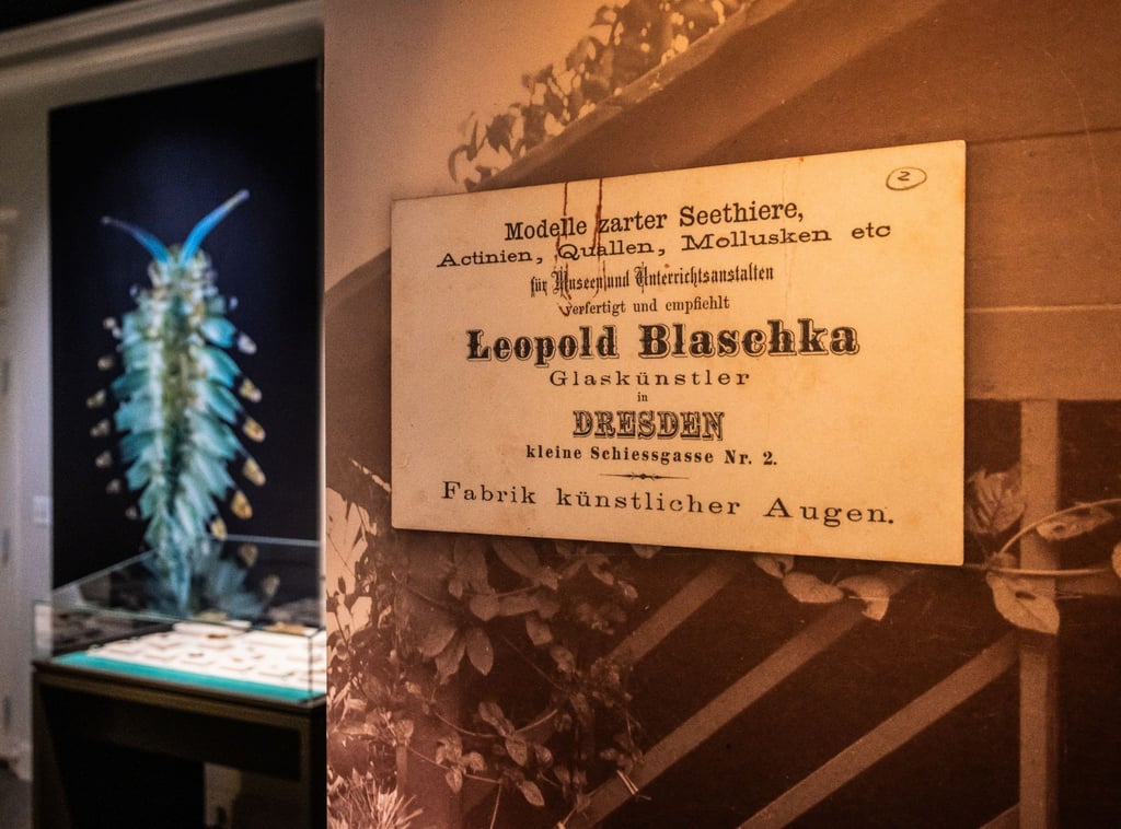 Blick in die Ausstellung „Spineless: A Glass Menagerie of Blaschka Marine Invertebrates“ im Mystic Seaport Museum.
