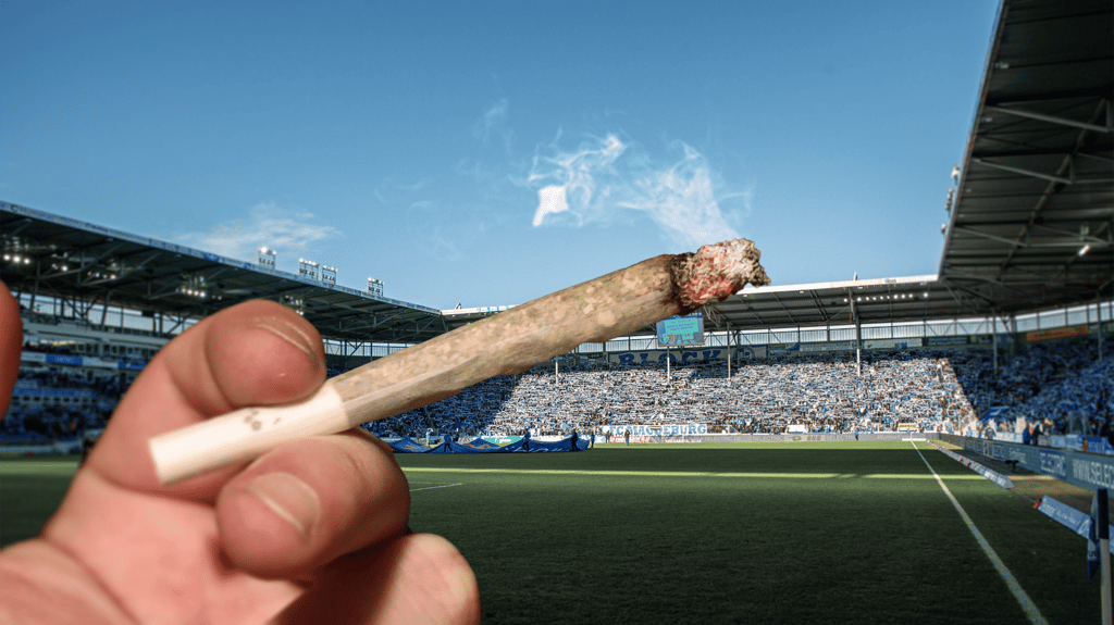 Kiffen wird in Deutschland bald legal. Stadionbesucher des 1. FC Magdeburg erwarten dennoch strikte Verbotszonen rund um die MDCC-Arena.