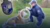 Die achtjährige Spürhündin Nena ist bestens ausgebildet. Fährtenhunde wie sie sind in Halle mit ihren Diensthundführern der Polizei täglich im Einsatz.