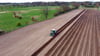 Eine neue Anbaufläche sorgt im reis Stendal bei der Schönberger Gemüsehof GmbH dafür, dass die Ertragsanlagen immer um die sieben Hektar liegen. 