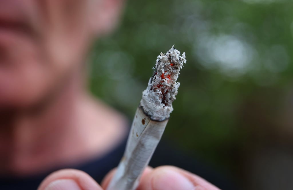 Ab dem 1. April wird es eine Teil-Legalisierung von Cannabis geben.