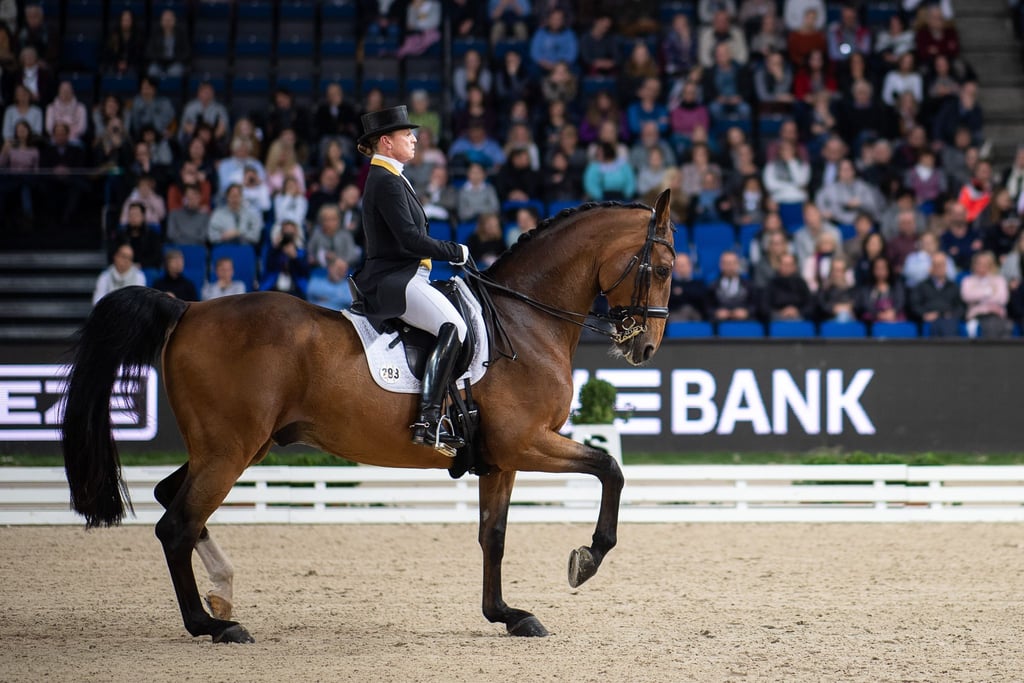 Isabell Werth geht beim Weltcup-Finale mit Emilio an den Start.