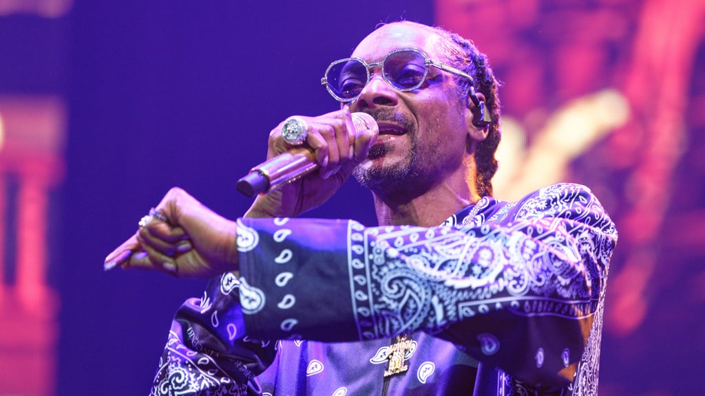 Aufgrund der Cannabis-Legalisierung war in einer Debatte auch Rapper Snoop Dogg Thema im Landtag Sachsen-Anhalts.