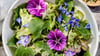 Genau richtig für Einsteiger der Baumküche: In den Lindenblättersalat kommen neben Eichblattsalat, Sonnenblumenkernen und Lindenblättern auch essbare Blüten.