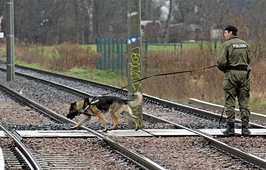 Ein Polizist such mithilfe eines Suchhundes eine vermisste Person.