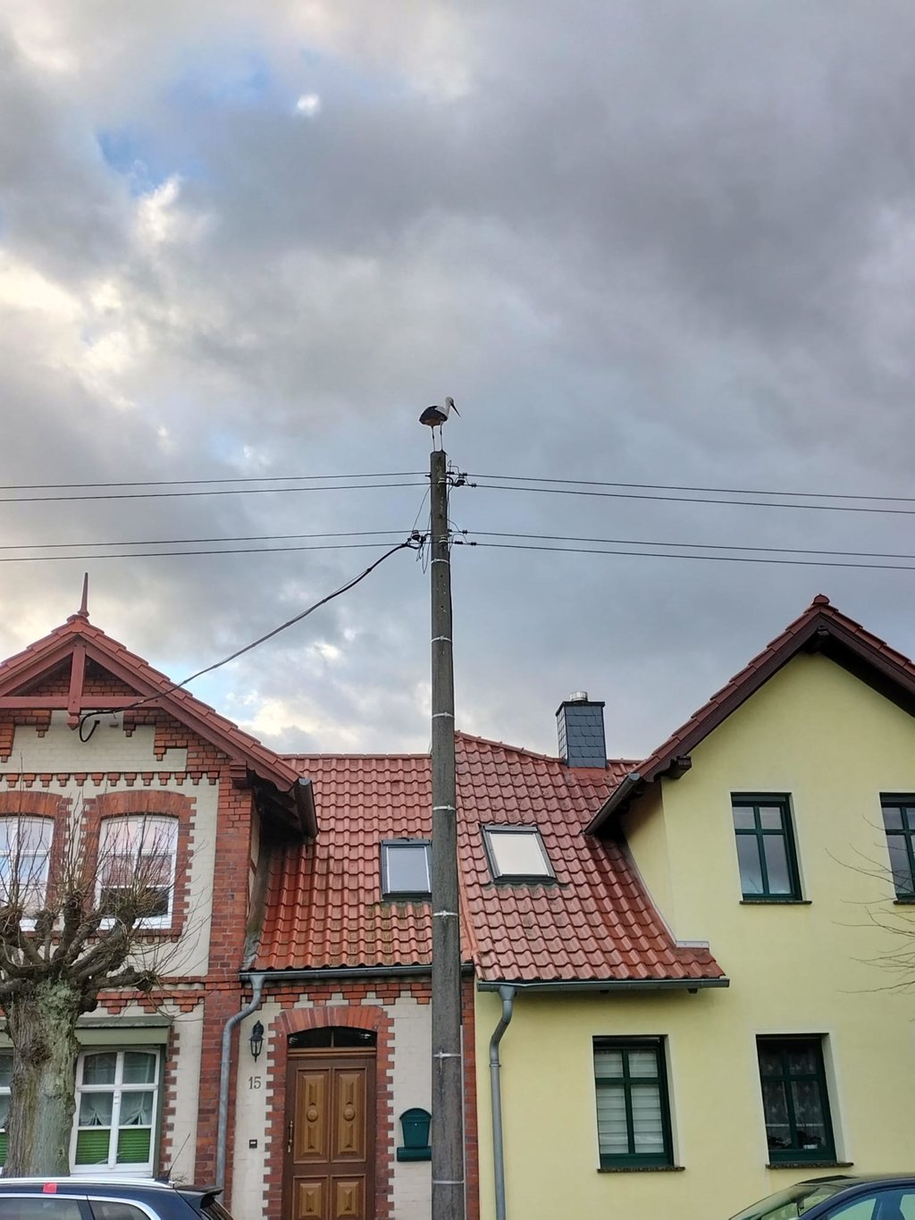 Der Storch ist auch 2024 wieder in Parleib gelandet.