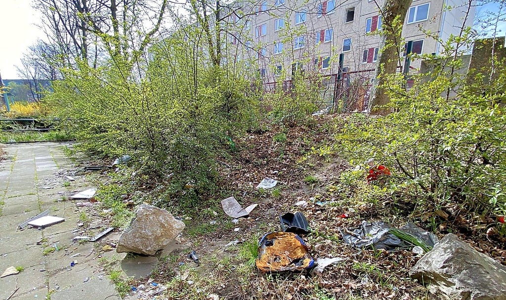 Rund um die leerstehenden Wohnblöcke an der Ecke Richard-Wagner-/Juri-Gagarin-Straße in Halberstadt sieht es aktuell furchtbar aus.